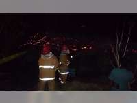 Akibat Pembakaran Sampah, Kandang Ayam Milik Warga Kedungadem Bojonegoro Ludes Terbakar