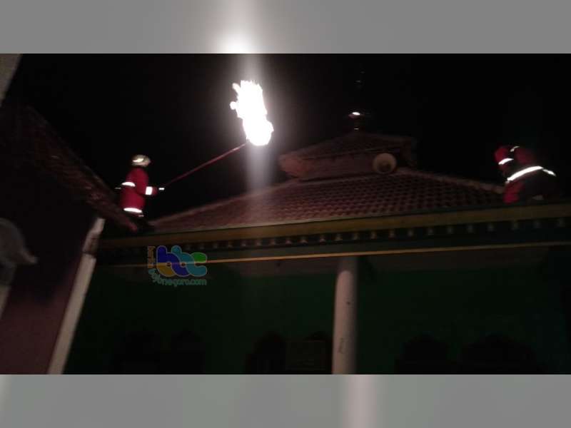 Dinas Pemadam Kebakaran Bojonegoro Evakuasi Sarang Tawon &lsquo;Ndas&rsquo; di Atap Musala