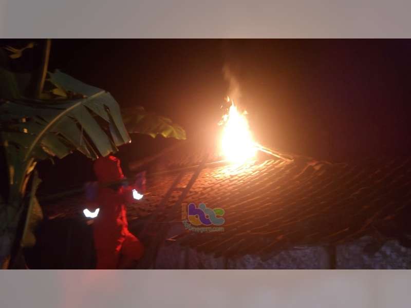 Dalam Semalam, Dinas Damkar Bojonegoro Evakuasi 3 Sarang Tawon Vespa