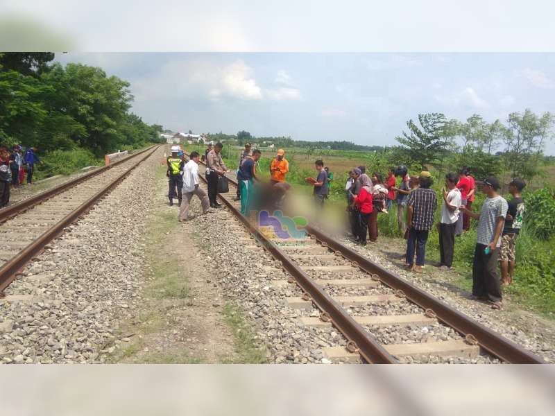 Seorang Warga Tewas Tertabrak Kereta Api di Baureno Bojonegoro, Diduga Bunuh Diri