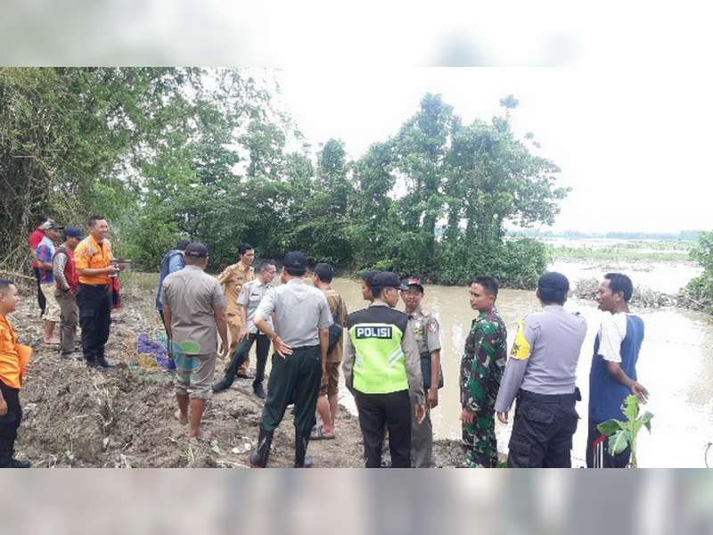 Tanggul Kali di Baureno Bojonegoro Jebol, 80 Hektare Area Pesawahan Warga Terrendam