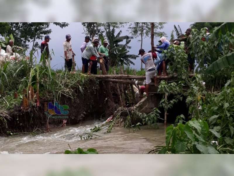 Tanggul Kali Ingas di Kanor Bojonegoro Jebol, Belasan Hektare Sawah Tergenang