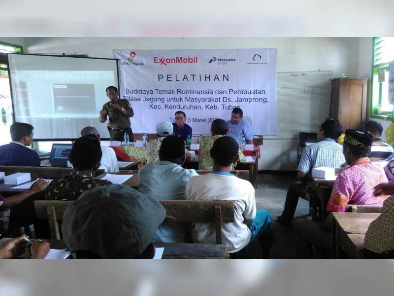 EMCL Beri Pelatihan Budidaya Ruminansia dan Pembuatan Corn Silage di Tuban