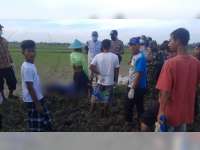 Hendak Cari Rumput, Warga Kasiman Bojonegoro Meninggal Dunia di Sawah