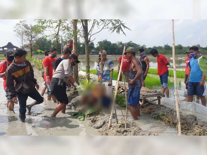 Seorang Petani Warga Kapas Bojonegoro Ditemukan Meninggal Dunia di Pematang Sawah