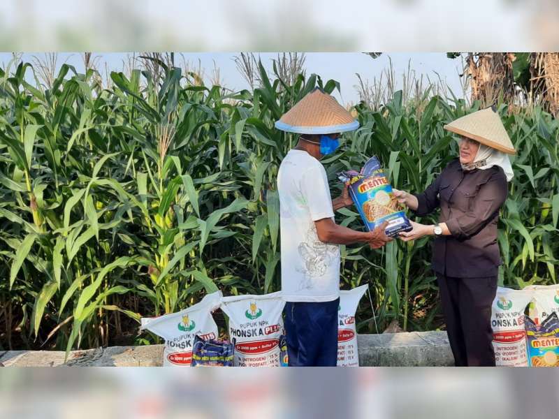 Pemkab Bojonegoro Sejahterakan Petani Melalui Program Petani Mandiri