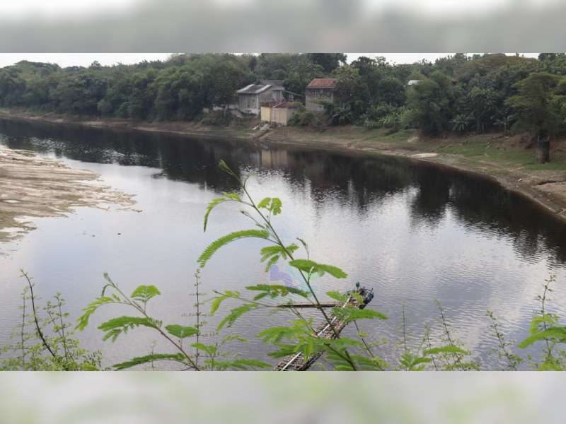 Air Sungai Bengawan Solo di Wilayah Blora Berubah Warna, Diduga Tercemar
