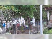 13 Orang Confirm Covid-19 di Bojonegoro Sembuh, Confirm Baru 2 Orang, Meninggal 1 Orang
