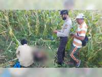 Seorang Kakek Warga Kasiman Bojonegoro, Diemukan Meninggal Dunia di Kebun Jagung