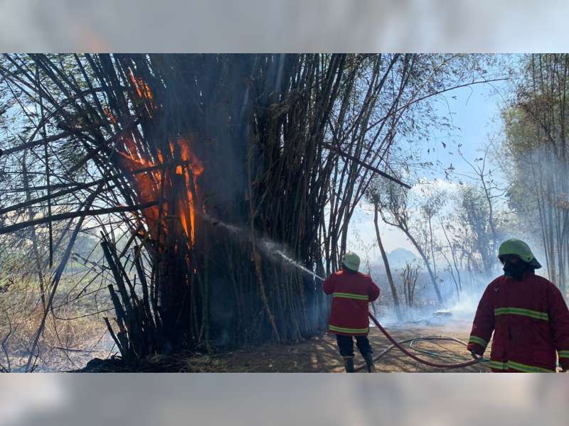 Hari Ini, di Bojonegoro Terjadi 4 Peristiwa Kebakaran Rumpun Bambu