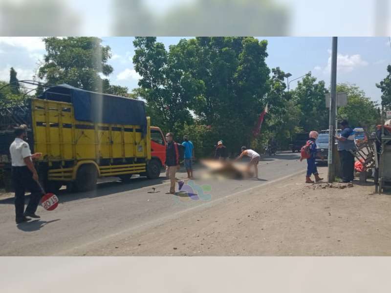 Kecelakaan di Kapas Bojonegoro, Seorang Pengendara Motor Meninggal Dunia di TKP