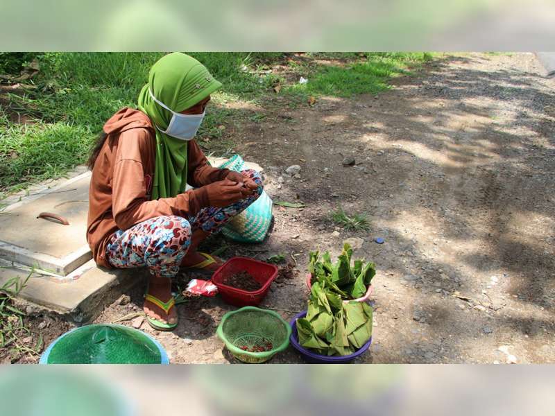 Warga Pinggir Hutan Jati Blora Mulai Berburu 'Ungker' untuk Dijual dan Dimasak Sendiri