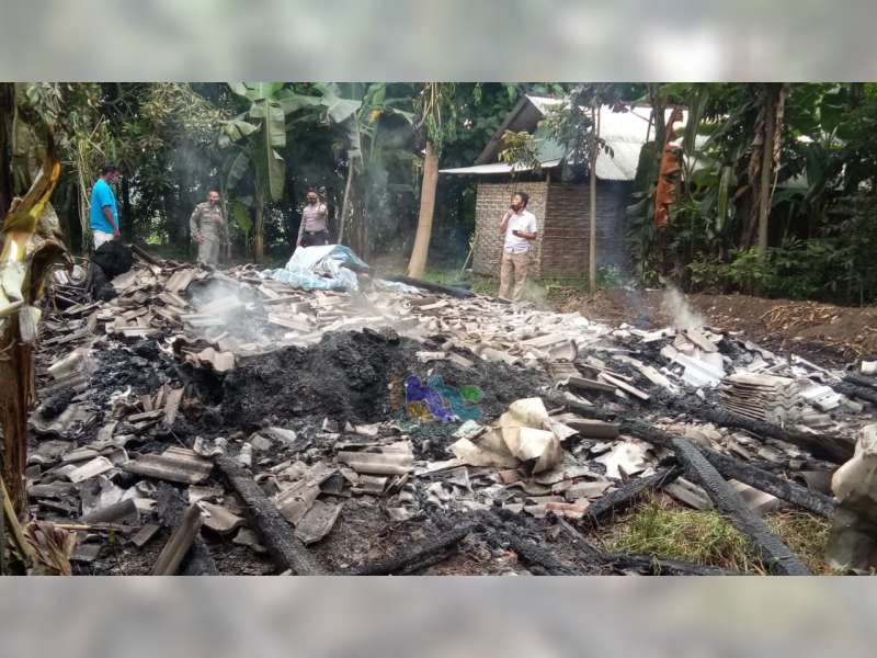 Kandang Sapi Milik Warga Sugihwaras Bojonegoro Terbakar, Seekor Sapi Turut Terpanggang Api