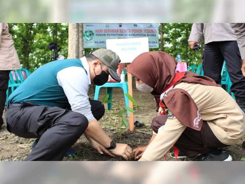 Peringati Hari Gerakan Sejuta Pohon Sedunia, Perhutani Blora Gelar Penanaman Pohon