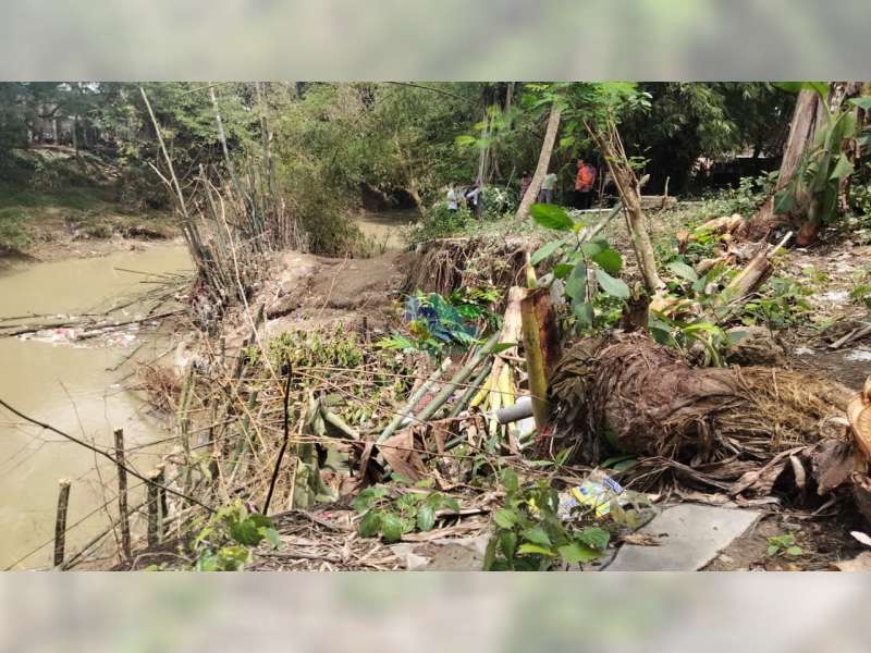 Tebing Sungai Pacal Longsor, Jembatan Kabunan di Balen, Bojonegoro Terdampak