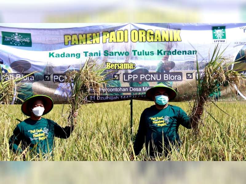 Bupati Arief Rohman Dorong Petani Blora Beralih Tanam Padi Organik