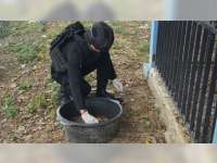 Unit Penjinak Bom Polda Jateng Berhasil Musnahkan 2 Mortir yang Ditemukan di Todanan, Blora