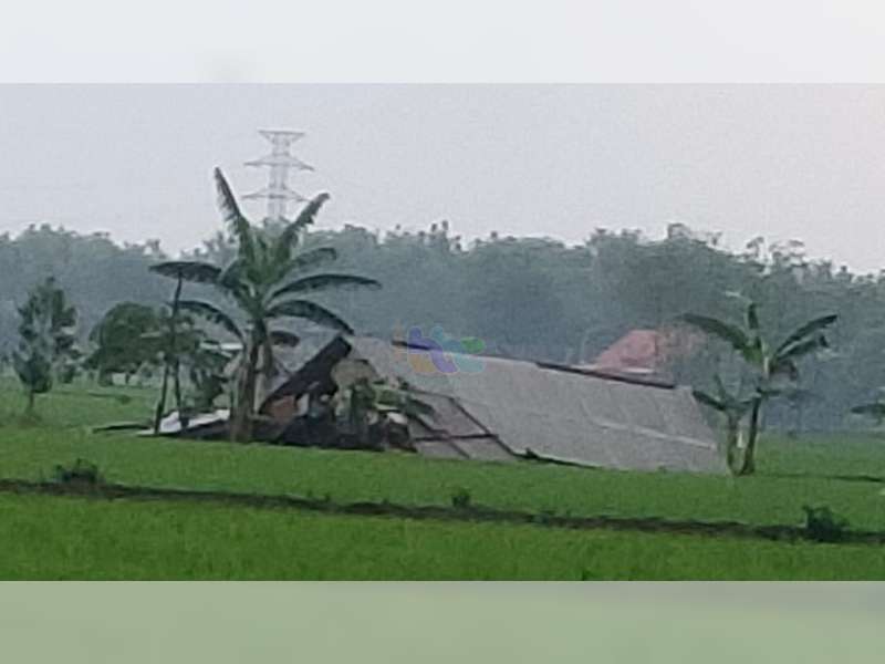 Diterjang Angin Kencang, Puluhan Rumah dan Bangunan di Sumberrejo, Bojonegoro, Rusak