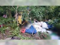 Diduga Rem Blong, Truk di Bojonegoro Masuk Jurang, 1 Orang Tewas dan 3 Lainnya Luka-luka