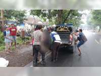 Motor Tabrak Pohon Penghijauan di Sumberrejo, Bojonegoro, Pengendara Motor Meninggal Dunia