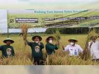 Lebih Untung dan Sehat, Bupati Dukung LPPNU Kembangkan Padi Organik di Blora