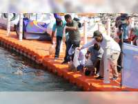 Bupati Blora Tebar 12 Ribu Ekor Benih Ikan di Bendungan Randugunting Japah