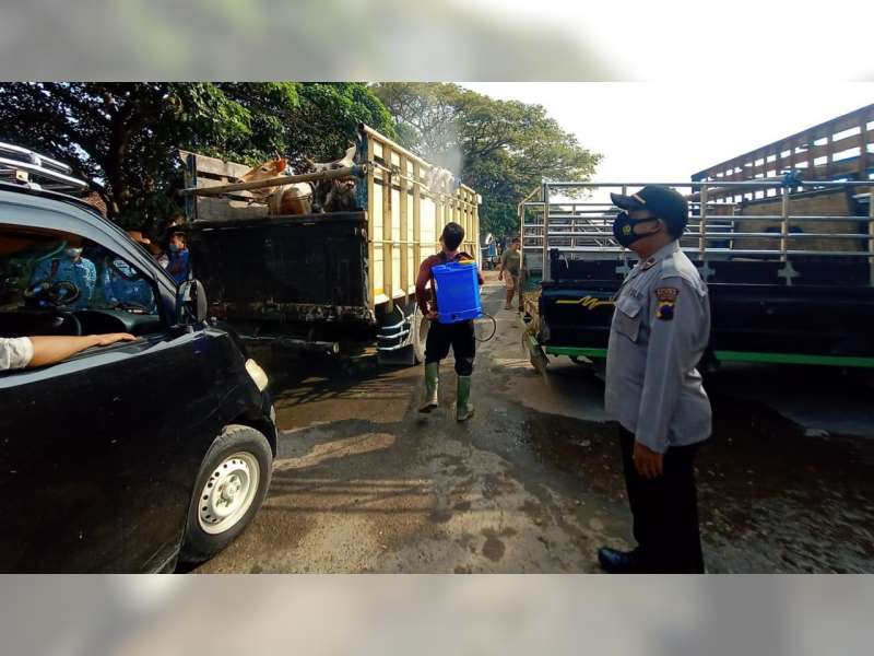 Antisipasi PMK, Petugas Gabungan di Blora Lakukan Pengawasan Pasar Hewan