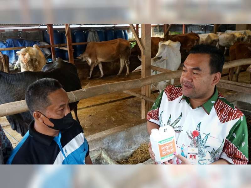 Pemkab Blora Segera Bangun Rumah Pemotongan Hewan Ternak Modern