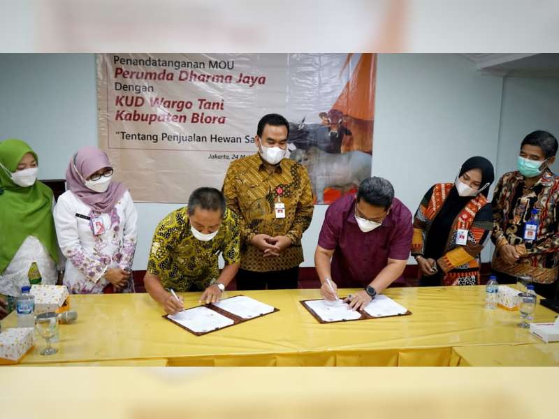 Peternak Blora Tanda Tangani Kerjasama Jual Beli Sapi dengan Pemprov DKI