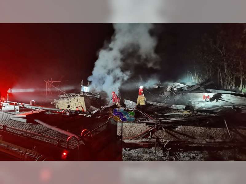 Kandang Warga Kasiman, Bojonegoro Terbakar, 55 Ribu Ayam Terpanggang Api, Kerugian Rp 3 Miliar