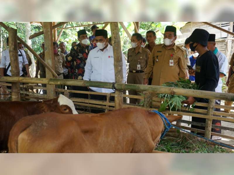 Wagub Jateng Minta Warga Beli Hewan Kurban di Tempat yang Direkomendasikan