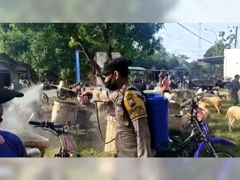 Cegah Penularan PMK, Petugas Gabungan di Bojonegoro Semprotkan Disifektan pada Hewan Ternak