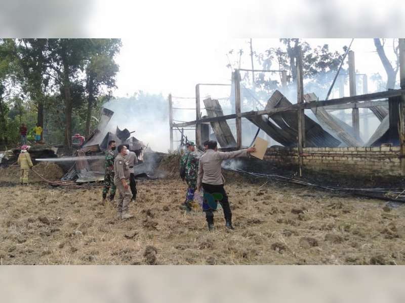 Kandang Ayam Milik Warga Kedungadem, Bojonegoro Terbakar, Kerugian Capai Rp 600 Juta