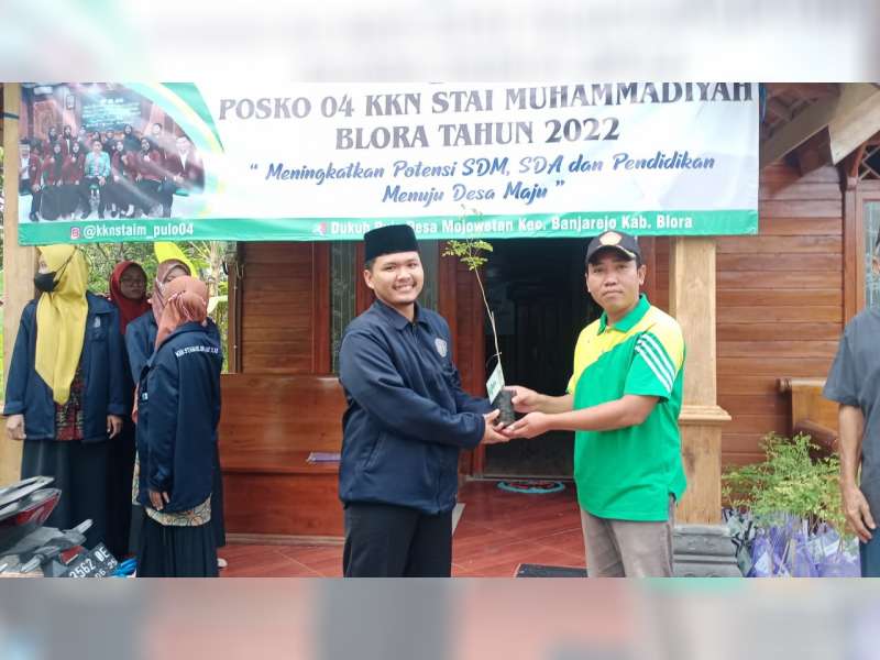 KKN STAI Muhammadiyah Blora Gelar Aksi Tanam Kelor dan Sosialisasikan Manfaat Kelor