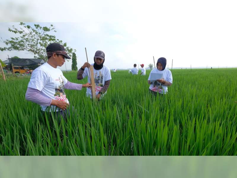 Kunci Sukses, Belajar Memahami Alam