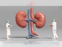 Waspadai Penyakit Gagal Ginjal Akut Misterius