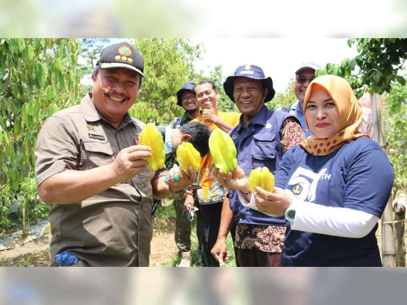 Dirjen Holtikultura Harap Pengembangan Tanaman Buah di Blora Terkonsentrasi