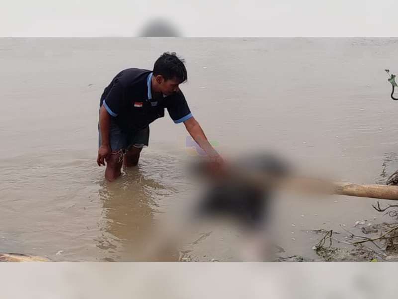 Mayat Laki-laki Warga Kasiman Ditemukan Mengapung di Sungai Bengawan Solo Trucuk, Bojonegoro