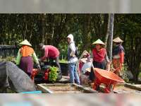 Ikhtiar PEPC Mulai Merawat Alam dan Mencegah Pemanasan Global dari Sekolah