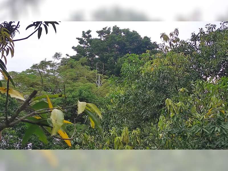 Melihat Sirine Peninggalan Belanda Penanda Buka Puasa di Pendopo Bupati Blora