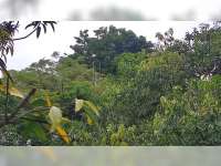 Melihat Sirine Peninggalan Belanda Penanda Buka Puasa di Pendopo Bupati Blora