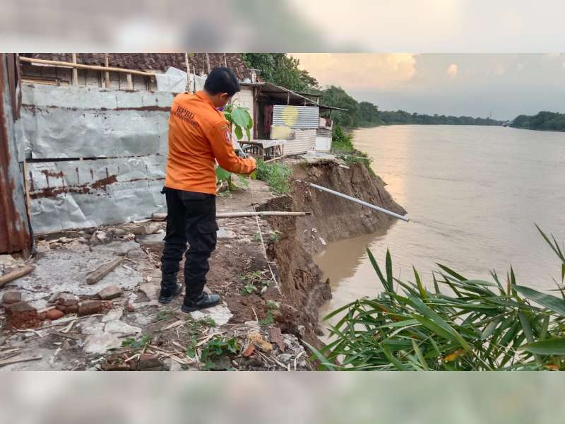 Tebing Sungai Bengawan Solo di Bojonegoro Alami Abrasi, 3 Rumah Warga Terancam Longsor