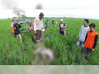 Seorang Petani di Kepohbaru, Bojonegoro Ditemukan Meninggal di Sawah