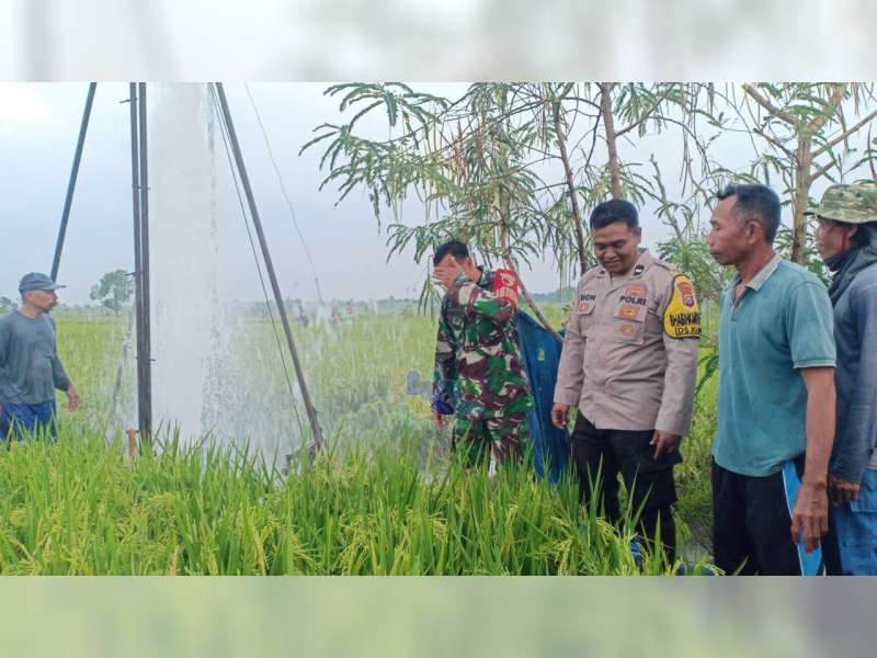 Semburan Air Setinggi 10 Meter Terjadi di Area Persawahan Desa Kunci, Dander, Bojonegoro
