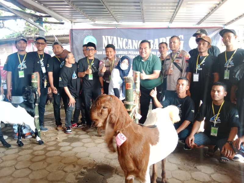 Ratusan Kambing Jenis Etawa di Blora Ikuti Kontes Jelang Idul Adha