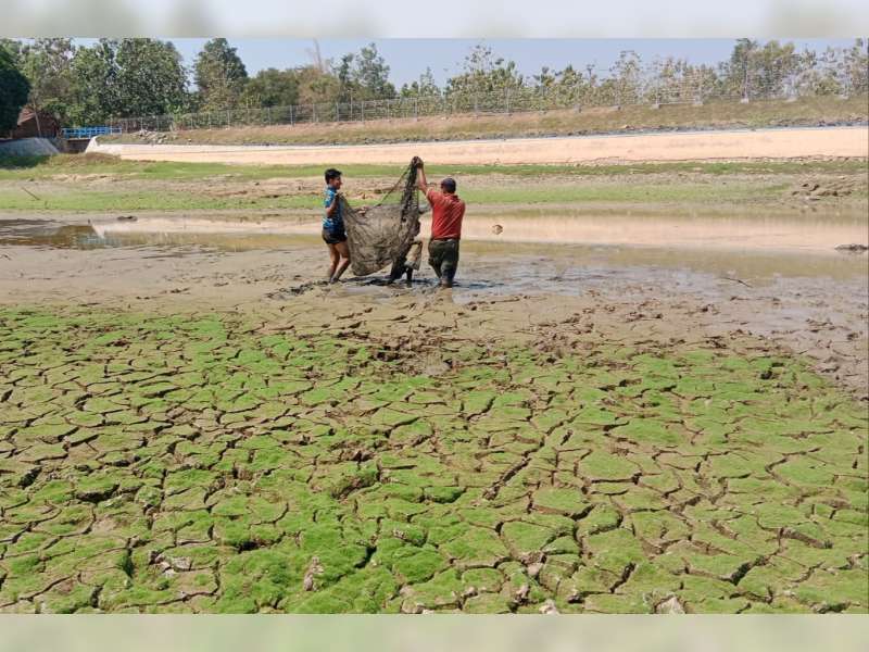 Kering Tak Ada Air, Embung Selaparang Dimanfaatkan Warga Mencari Ikan