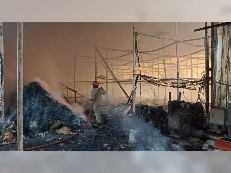 Kandang Berisi 38 Ribu Ayam di Dander, Bojonegoro Terbakar, Kerugian Capai Rp 2,85 Miliar