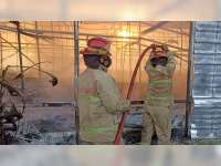 Kandang Berisi 38 Ribu Ekor Ayam di Bojonegoro Terbakar, Kerugian Rp 2,8 Miliar