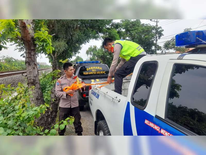 Tabrak Pohon Penghijauan, Seorang Pemotor di Kapas, Bojonegoro Meninggal
