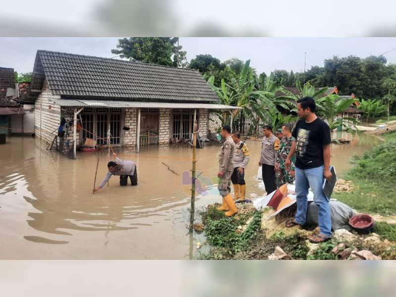 Seorang Anak di Kanor, Bojonegoro Tenggelam di Halam Rumah yang Tergenang Banjir Bengawan Solo